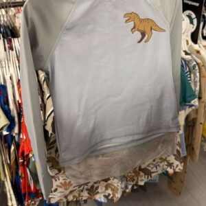 Ropa Niño Talla 4T Rashguard Dinosaurio Gris Manga Larga